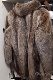 Pelliccia marmotta