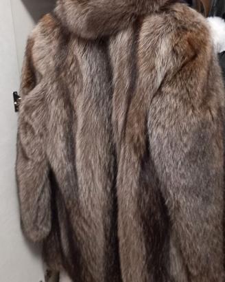 Pelliccia marmotta