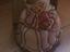 Immagine 1