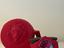 Immagine 1