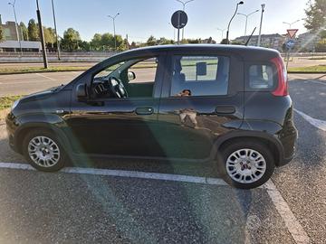 Fiat Panda Hybrid