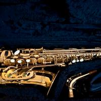 Sax alto Lucien perfetto