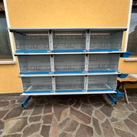 Batteria di gabbie