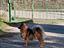 Immagine 3