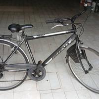 bicicletta da uomo