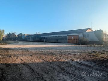 Capannone con ampio scoperto