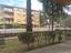 Immagine 11