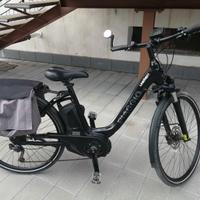 Bicicletta a pedalata assistita