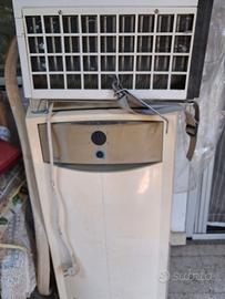 Condizionatore portatile carrier