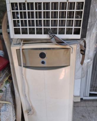 Condizionatore portatile carrier