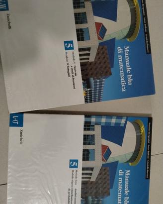 libro scuola manuale blu di matematica modulo 5