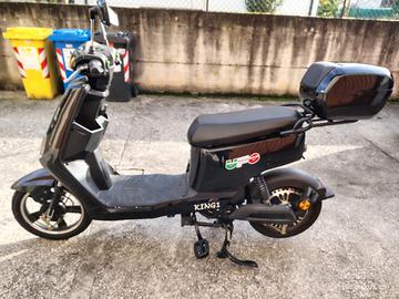Bicicletta elettrica assistita 
