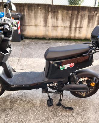 Bicicletta elettrica assistita 