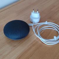 Google Home Mini "regalato" mai usato