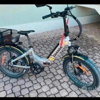 bici elettrica 