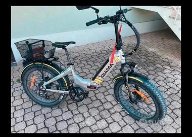 bici elettrica 