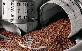 BAR euro 1.300 giornalieri