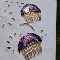 Pettini per capelli con smalti a fuoco. Coppia