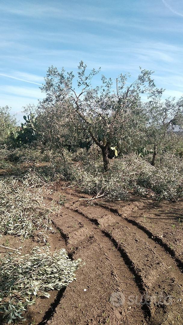 Terreno agricolo - Vista 2