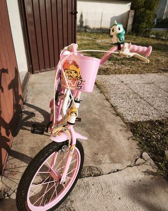 bicicletta