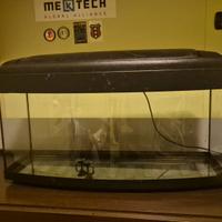 acquario completo 80 lt 