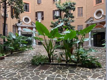 CAMERA IN APPARTAMENTO CONDIVISO – STUDENTESSE