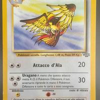 Pidgeot mazzo Jungle