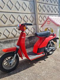 benelli s50
