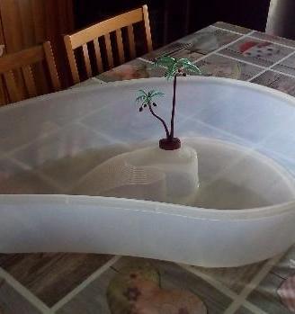 Tartarughiera in plastica nuova mai usata