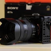 SONY a7III con 24-105   scatti 1563