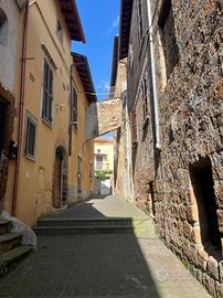 3 LOCALI A GALLICANO NEL LAZIO