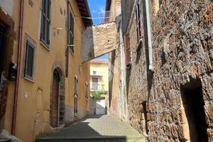 3 LOCALI A GALLICANO NEL LAZIO