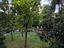 Immagine 23