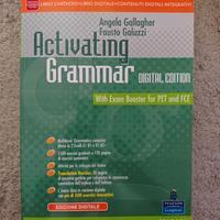 Activating Grammar digital edition
