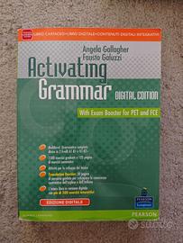 Activating Grammar digital edition