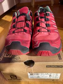 Salomon XAPRO 35