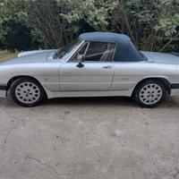 alfa spider duetto quadrifoglio verde