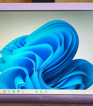 MONITOR LG FLATRON W1930S VGA 19 POLLICI