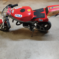 Minimoto replica blata Ducati