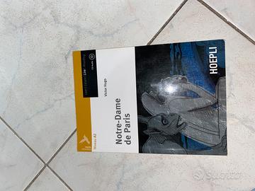 Notre-Dame de Paris - Victor Hugo