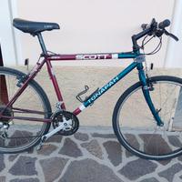 bicicletta scott da uomo