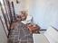 Immagine 26