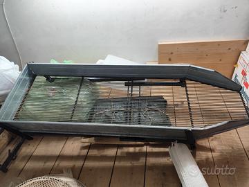 Scegliolive defogliatore Defogliatrice artigianale