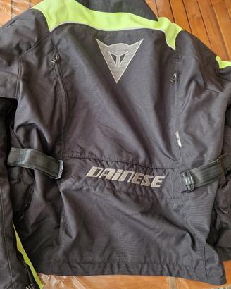 giacca moto dainese