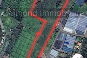 Terreno edificabile a Fiumefreddo di Sicilia