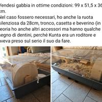 Gabbia per piccoli roditori