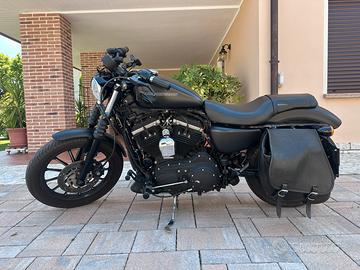 Harley Davidson 883 Iron