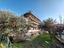 Immagine 12