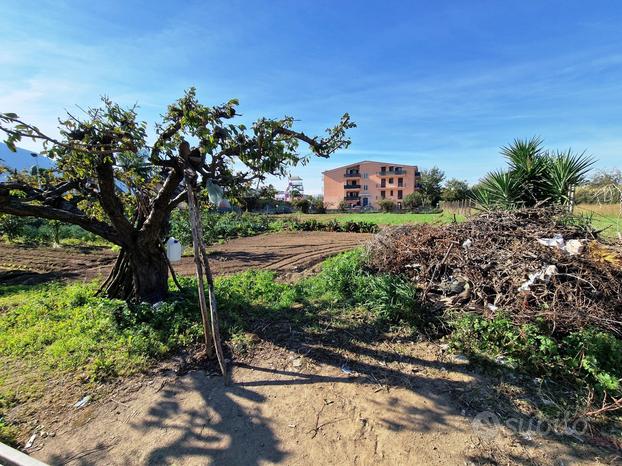 Terreno Residenziale Santa Maria a Vico