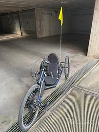 Handbike Maddiline RaceX